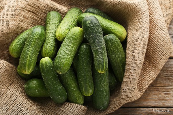 Kann man Gurken mit Blaudünger düngen?