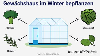 Wann fängt man im Gewächshaus an?