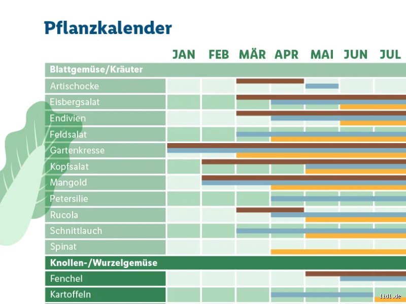 Wann ist die beste Zeit um Samen zu Pflanzen?