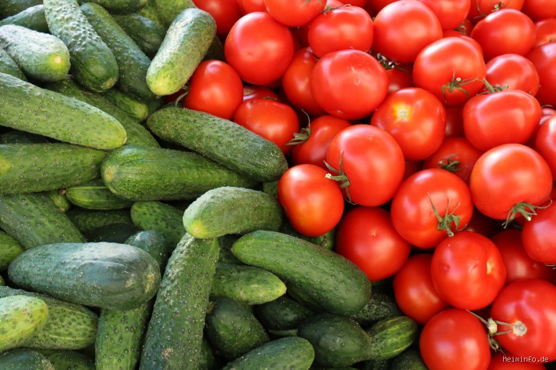Wann Tomaten und Gurken? Der ultimative Guide für Aussaat, Pflanzung und Ernte