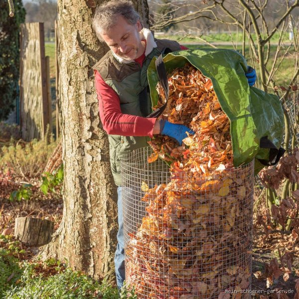 Wie sammelt man Laub im Herbst ohne Verzweiflung und Rückenschmerzen