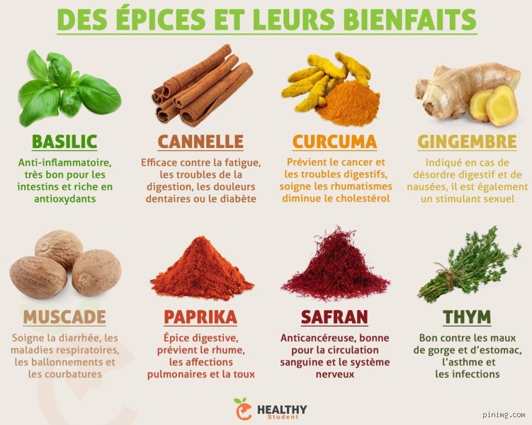 Quel épice avoir chez soi ? Le guide expert des indispensables en cuisine