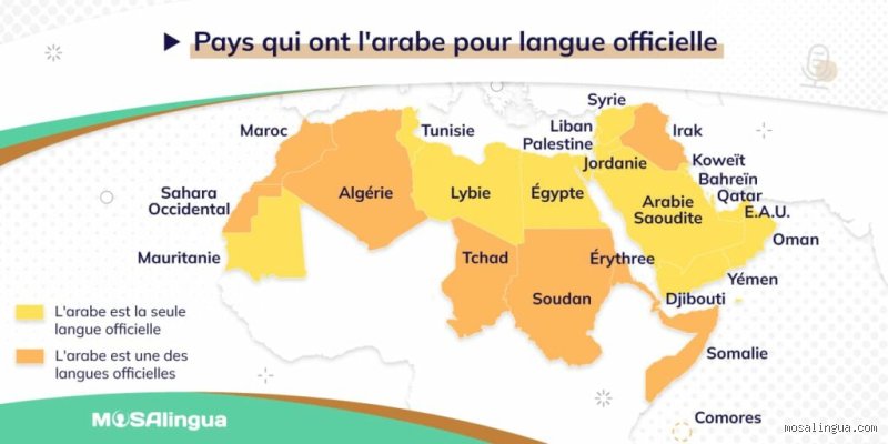 Est-ce que les Marocains sont grands ? La réalité derrière la perception commune