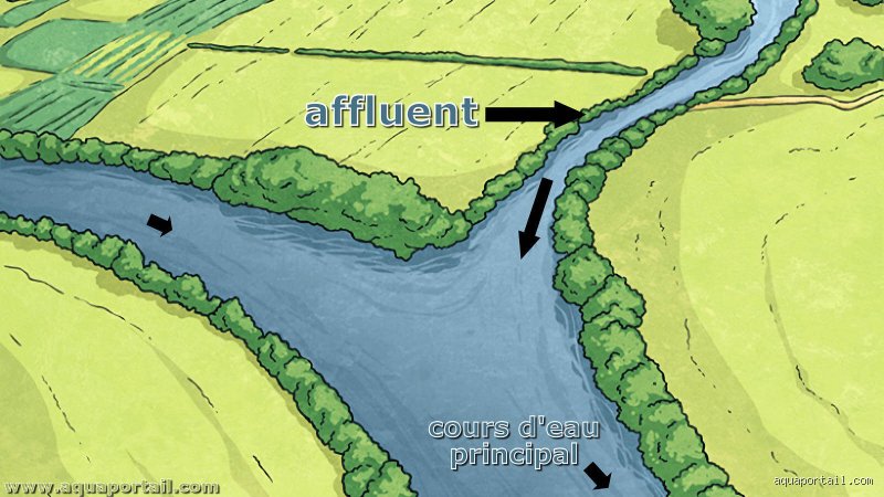 Quel est le fleuve qui ne se jette pas dans la mer ?