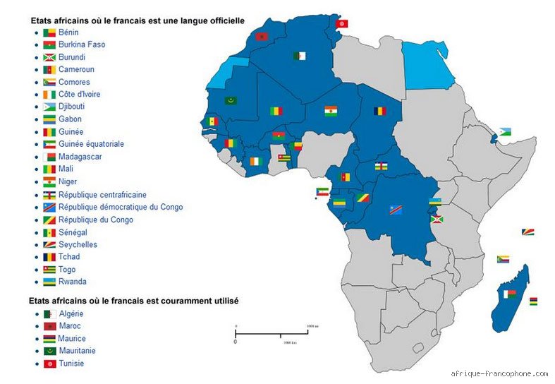 Le Vrai Géant : Quel est le pays francophone le plus vaste d'Afrique ?