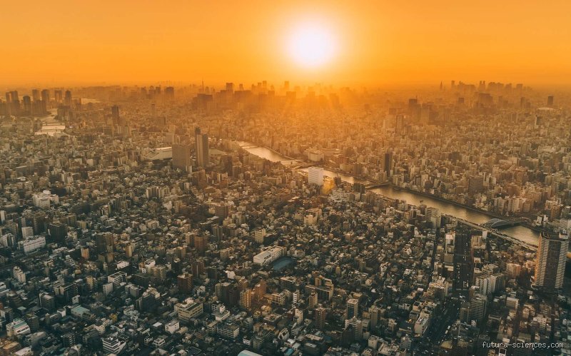 Quelle est la ville la plus grande sur terre ?