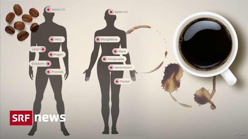 Was bewirkt Koffein im Gesicht? Die physiologischen Effekte auf die Haut