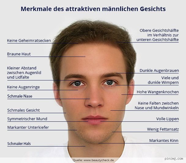 Wie erkennen Sie, ob Sie als Mann ein attraktives Gesicht haben?