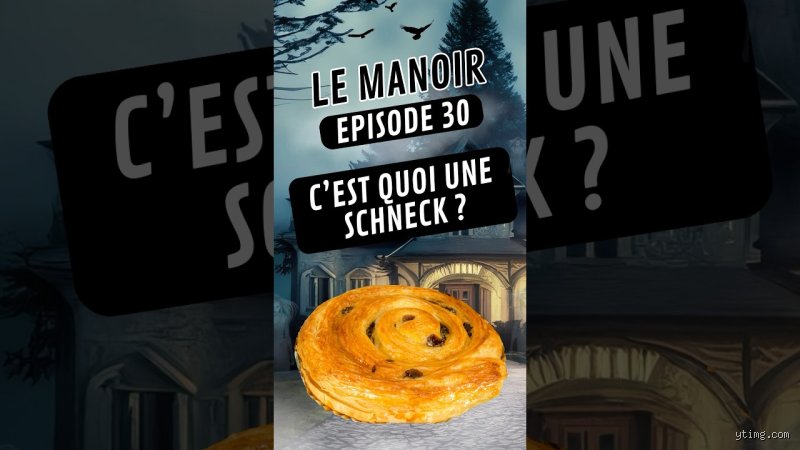 C'est quoi la Schneck ?