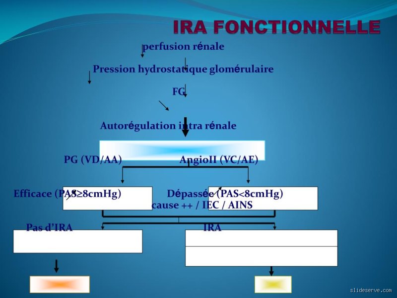 Comment fonctionnent les IRA : un guide complet pour comprendre ces comptes de retraite