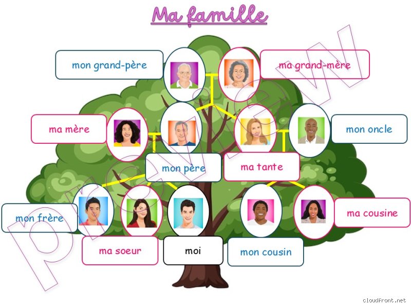 Comment trouver l'arbre généalogique de ma famille ?