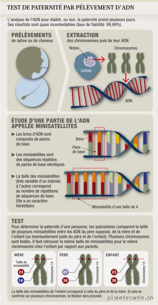 Est-il obligatoire de faire un test de paternité ?