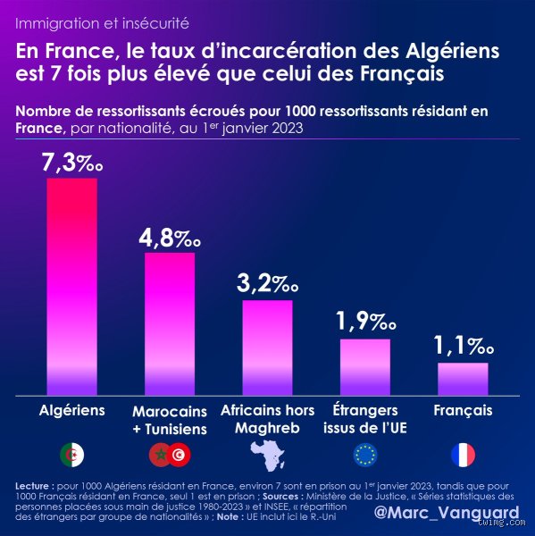 Quel est le pourcentage d'Algériens dans les prisons françaises ? Chiffres réels, fantasmes politiques et zones d'ombre du ministère de la Justice