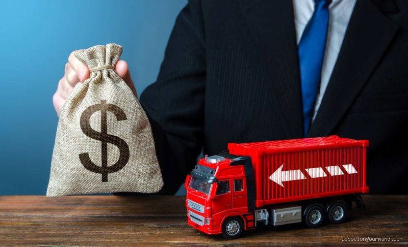 Pourquoi je paye des frais de douane ? Comprendre la facture (parfois salée) de vos achats en ligne
