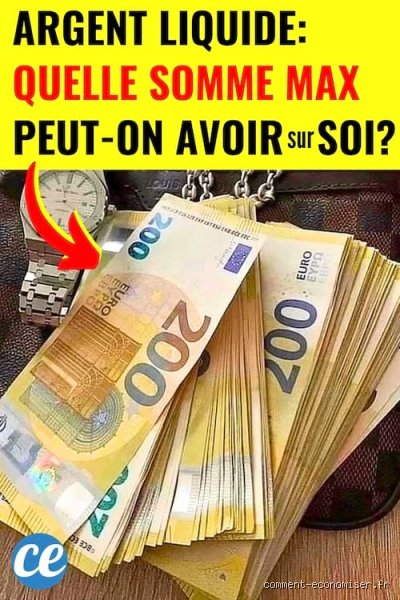 Quelle somme maximum en espèces sur soi peut-on transporter légalement en France et quels sont les risques réels ?