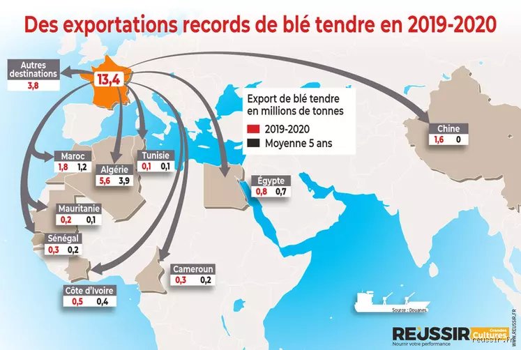 Quelles sont les exportations françaises vers la Chine : décryptage d'un commerce entre colosses aéronautiques et pépites du terroir