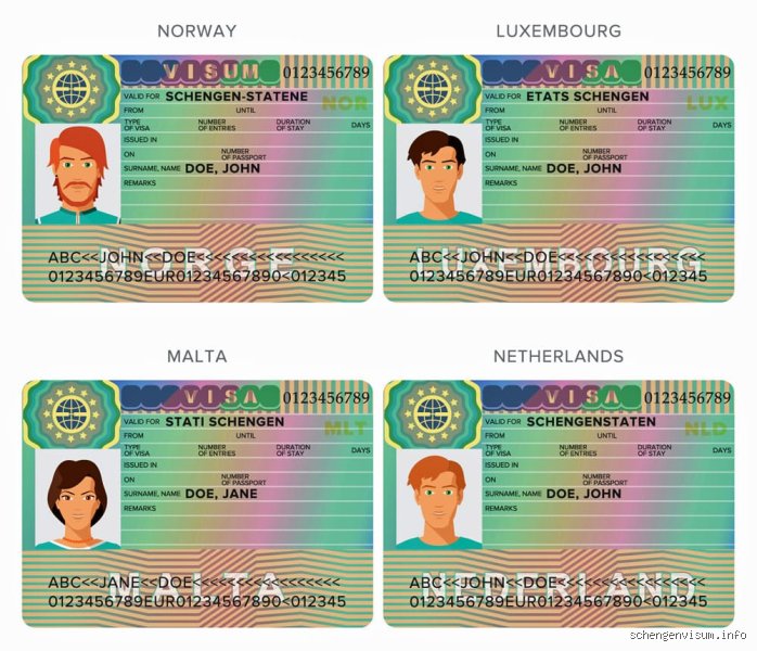 Quels sont les différents types de visa ? Le guide complet pour s'y retrouver sans perdre la tête