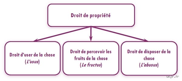 Quels sont les trois droits de propriété ? Comprendre l'usus, le fructus et l'abusus pour maîtriser son patrimoine
