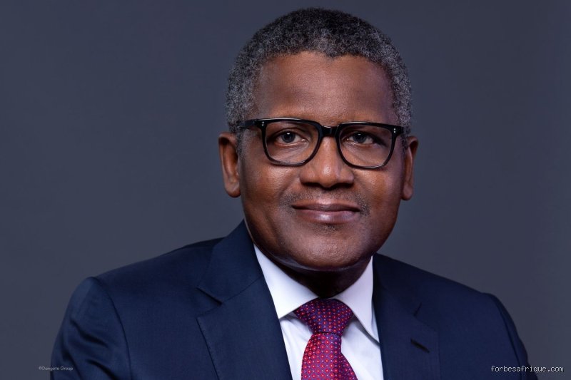 Qui est le roi le plus riche en Afrique ?