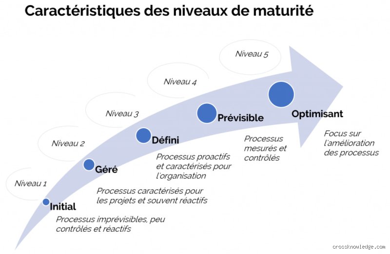 La Maturité : Comment Devenir un As de la Vie (Sans Se Prendre au Sérieux)