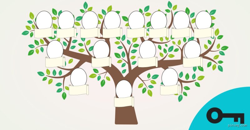Comment trouver son arbre généalogique : Le guide du débutant (et plus !)