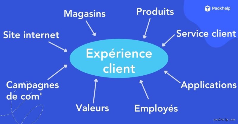 Décortiquer l'Expérience Client : Ce Qui Fait Vraiment la Différence et Pourquoi