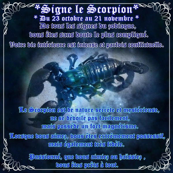 Quand le Scorpion est triste ? Signes, douleurs et silences