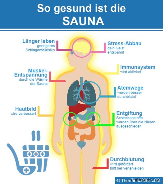 Für welche Organe ist Sauna gut? Ein ehrlicher Blick auf die Wirkung