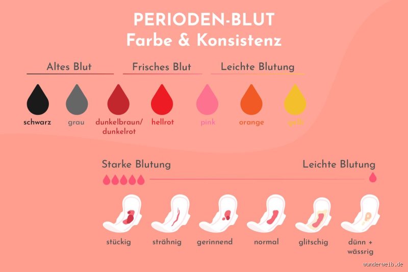 Hat die Periode wirklich einen Einfluss auf meine Blutwerte? Eine schonungslose Aufklärung
