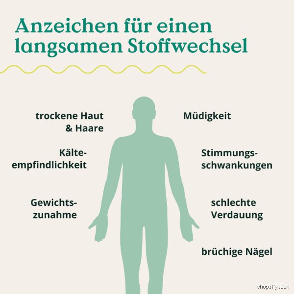 Ist abends der Stoffwechsel langsamer?