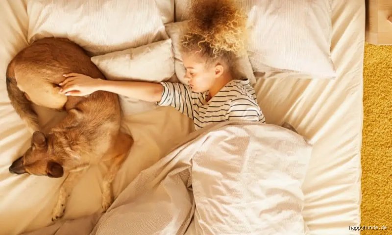 Ist es gesund mit einem Hund im Bett zu schlafen?
