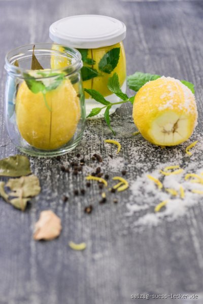 Ist es gesund Zitrone mit Salz zu essen? Eine physiologische Analyse