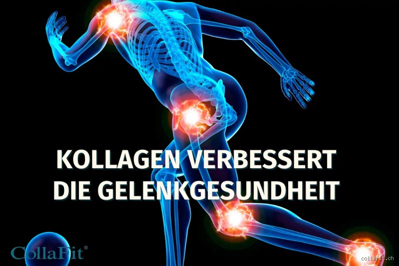 Ist Kollagen wirklich gut für die Gelenke? Eine ehrliche Betrachtung