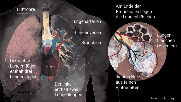 Ist Paffen gesünder als Lunge?