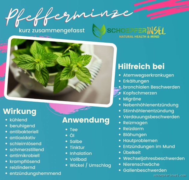 Ist Pfefferminztee gut bei Bronchitis?
