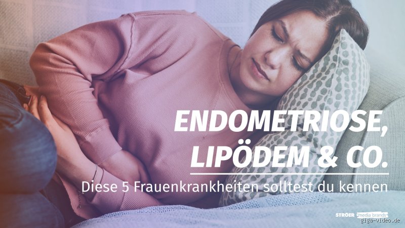 Kann der Hausarzt einen Hormonstatus erstellen? Alles, was du wissen musst