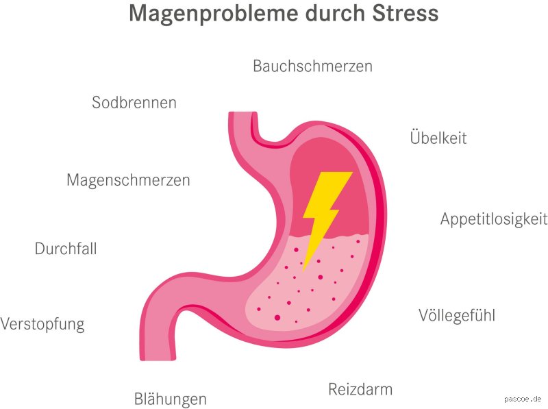 Kann der Magen Verspannungen auslösen? Ursachen und physiologische Zusammenhänge