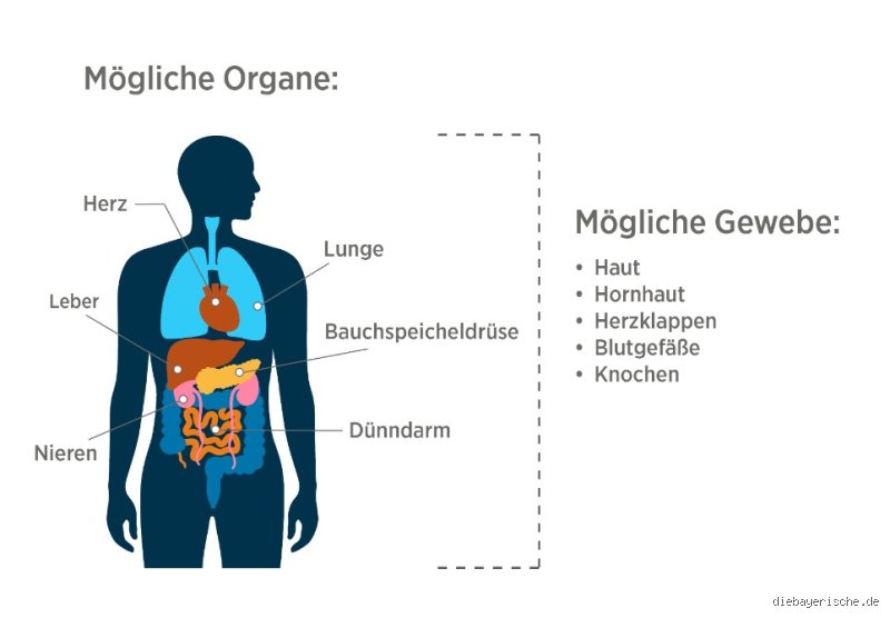 Kann man als Raucher Organe spenden? Medizinische Fakten und Kriterien