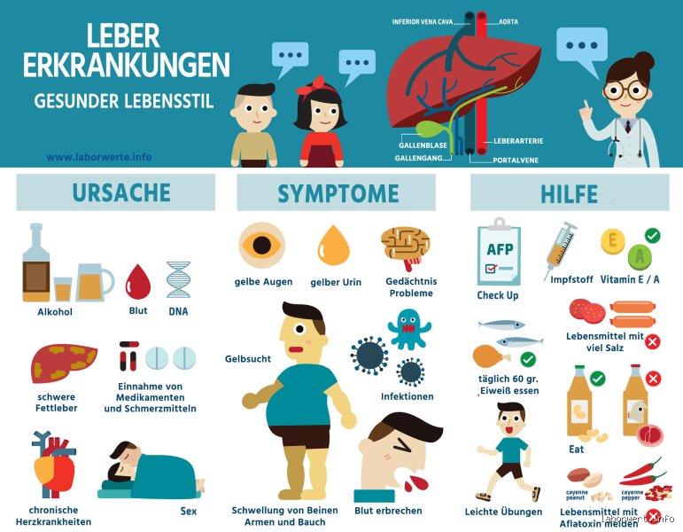 Kann man auch ohne Leber leben? Die medizinische Realität des Überlebens ohne das zentrale Stoffwechselorgan
