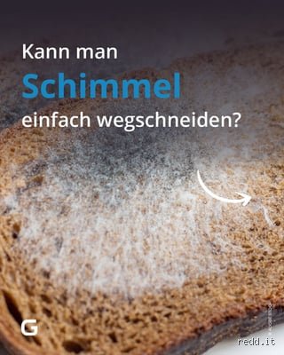 Kann man Schimmel einfach wegschneiden?