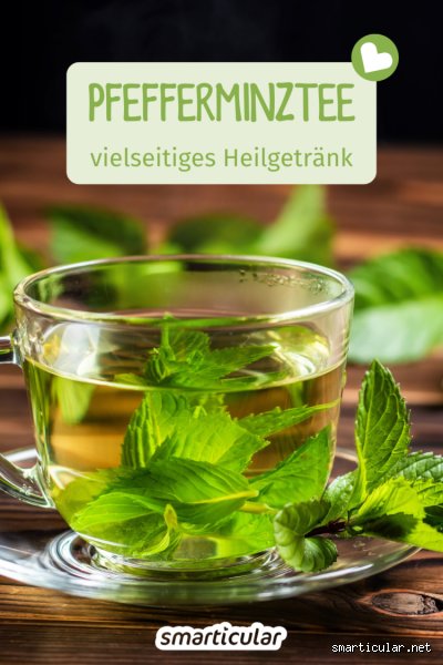 Kann Pfefferminztee müde machen?
