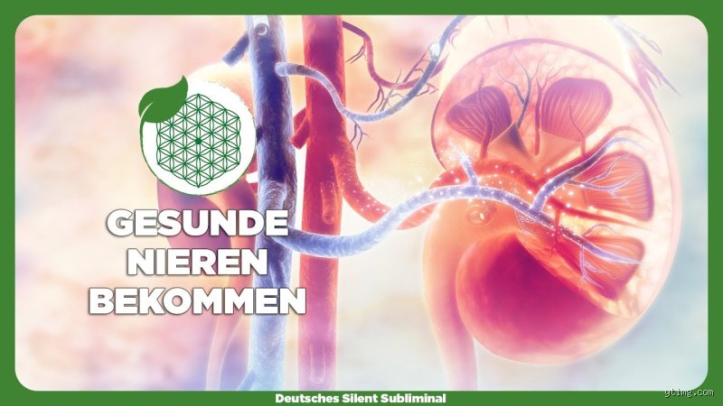 Kann sich die Niere wieder verbessern?