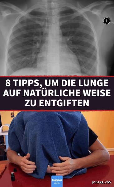 Kann sich die Lunge reinigen?