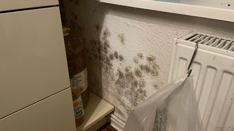 Kann sich Schimmel im Sommer bilden?