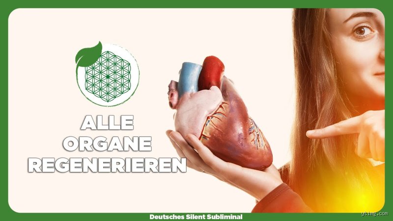 Können sich Gefäße regenerieren?