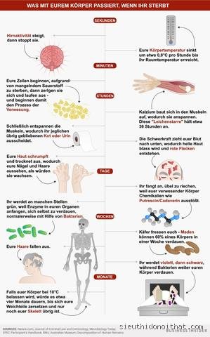 Wann fängt der Körper an zu verfallen? Der schleichende Wandel, den niemand bemerkt