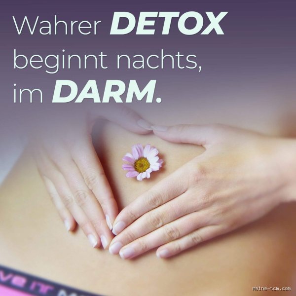 Wann regeneriert sich die Leber nachts?