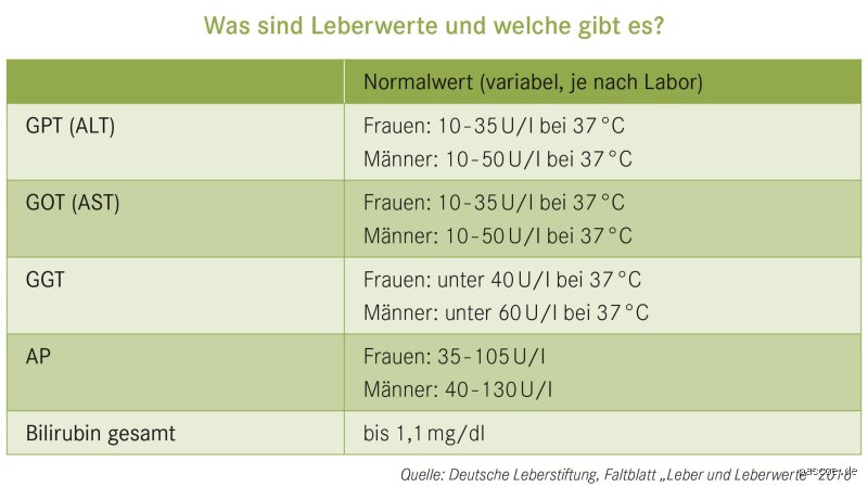 Wann sind GOT und GPT erhöht?