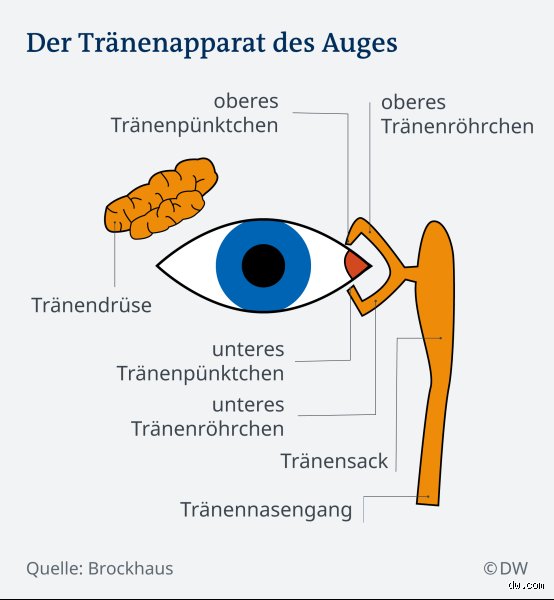Warum kommen mir die Tränen?