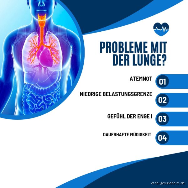Was belastet die Lunge?